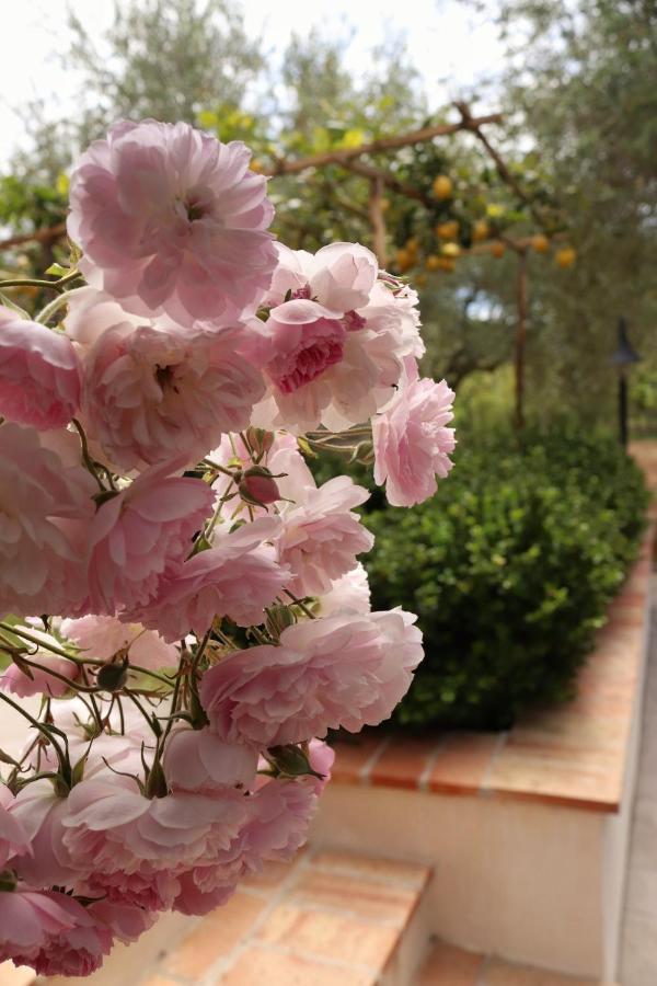 بالينورو Villa Rosada المظهر الخارجي الصورة